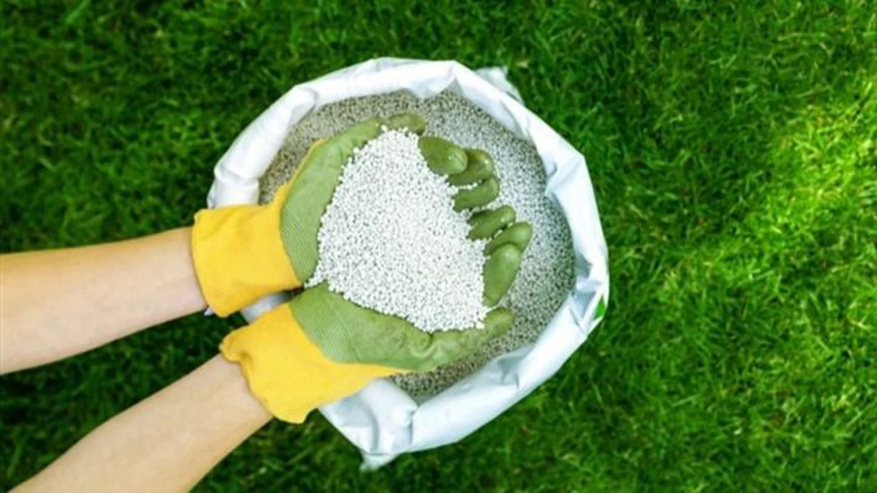 انخفاض أسعار الأسمدة اليوم يعيد التوازن للأسواق وسط أزمة السوق السوداء